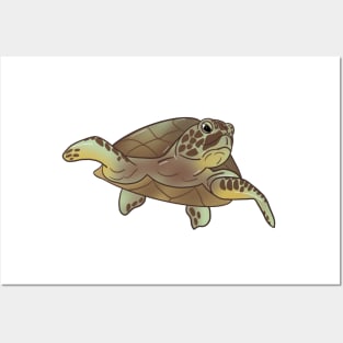 Sea Turtle Smiles Posters and Art